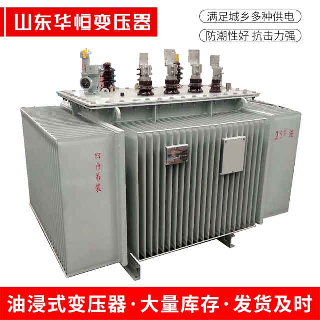 S13-10000/35永善永善永善电力变压器厂家