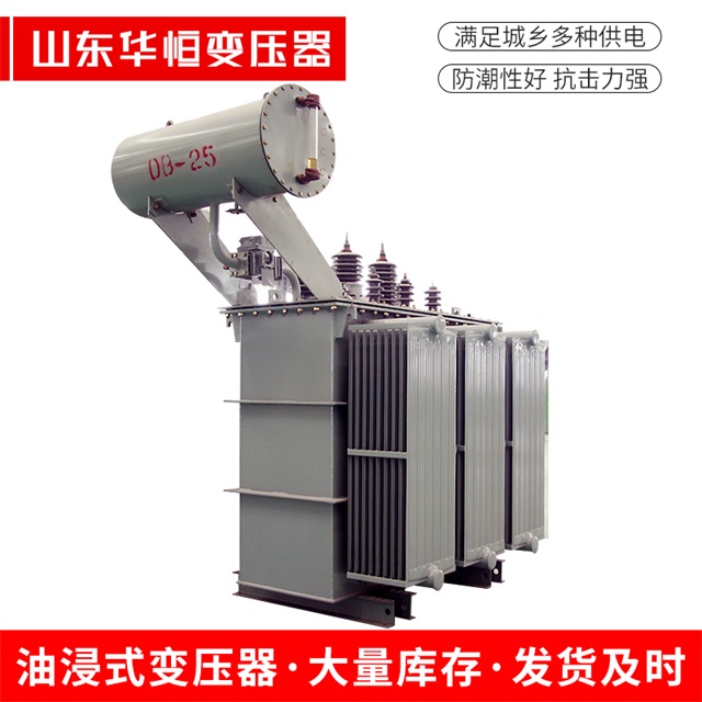 S11-10000/35永善永善永善电力变压器厂家