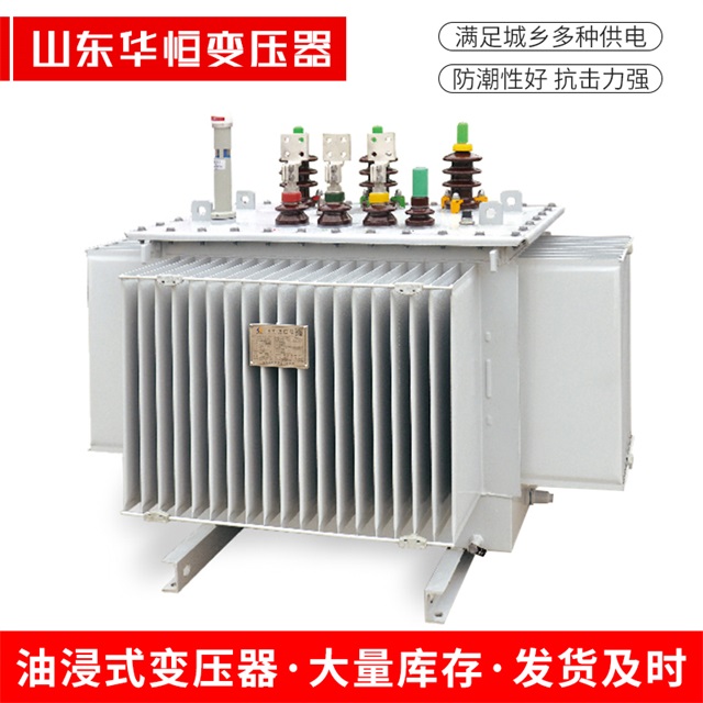 S13-10000/35永善永善永善电力变压器