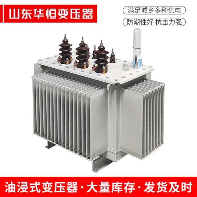 S11-10000/35永善永善永善电力变压器价格